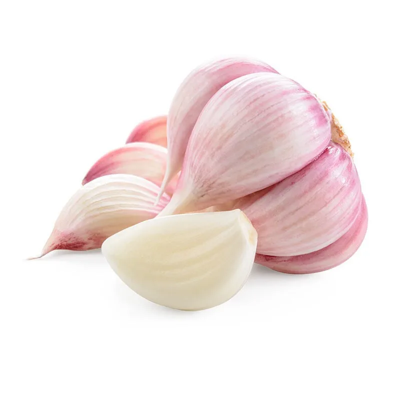 Wholesale 2020 new fresh garlic supplier normal white garlic