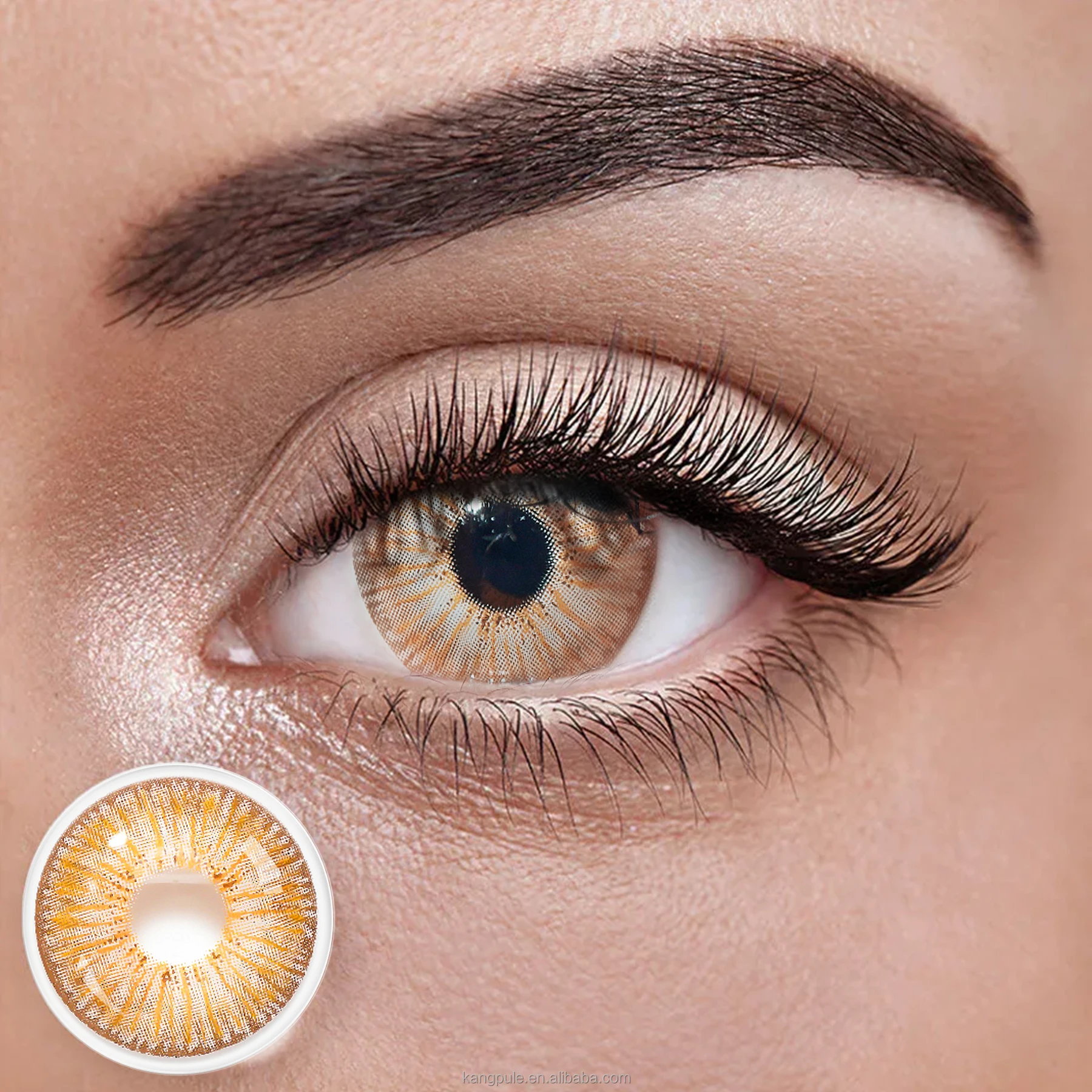 wholesale factory private label good price of  freshlady eye contact lenses color contact lenses