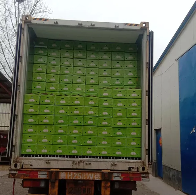 Hot Sale Cheap Price White Normal  5.5cm 10kg Box Fresh Wholesale Price Buy Chinese Garlic Fresh