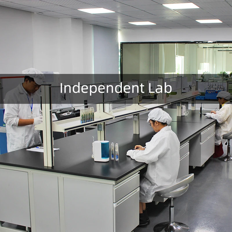 USB C Rechargeable Ultrasonic Electric Toothbrush Adults Portable Travel Sonic Toothbrush 4 Operating Modes