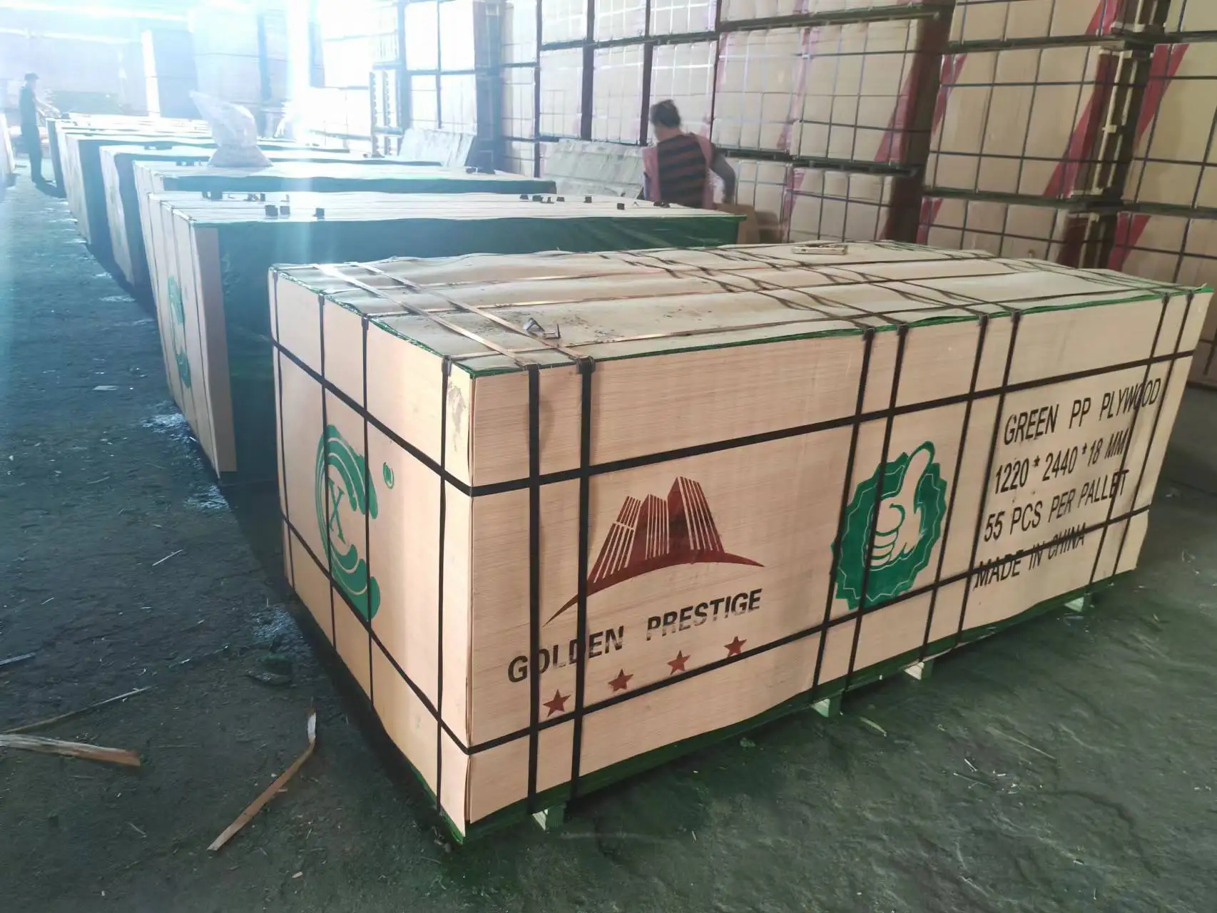 9mm,12mm,15mm,18mm,20mm,21mm Construction Plywood PP Plastic Cover Sheet