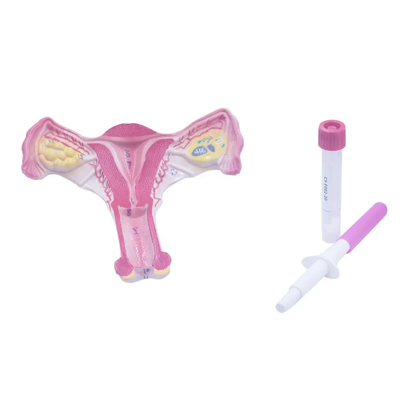 HPV Self Cervical Specimen Collection Swab With HPV Transport Medium