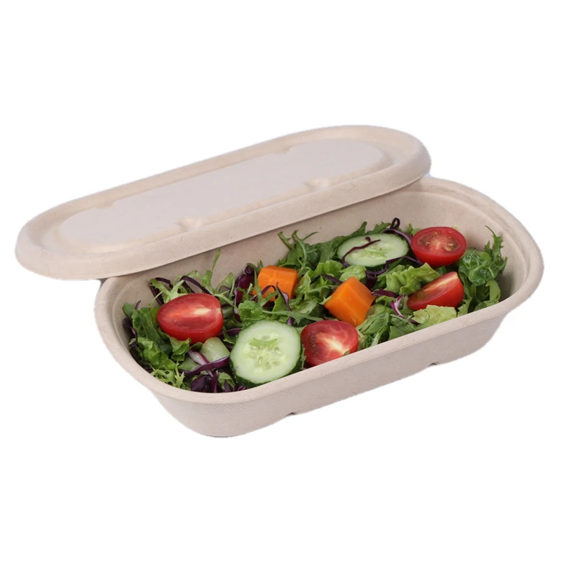 Eco-friendly Biodegradable Disposable Bagasse Dinnerware food takeaway box