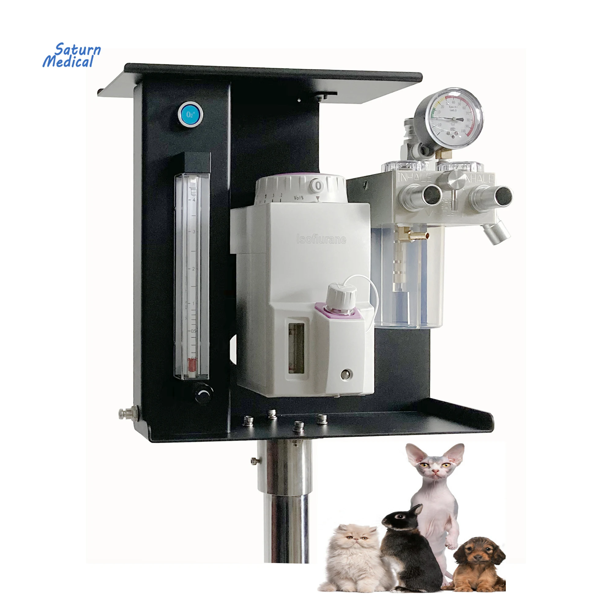 18 лет, китайская фабрика, самая низкая цена, высококачественное ветеринарное устройство для контроля анестезии животных и домашних животных