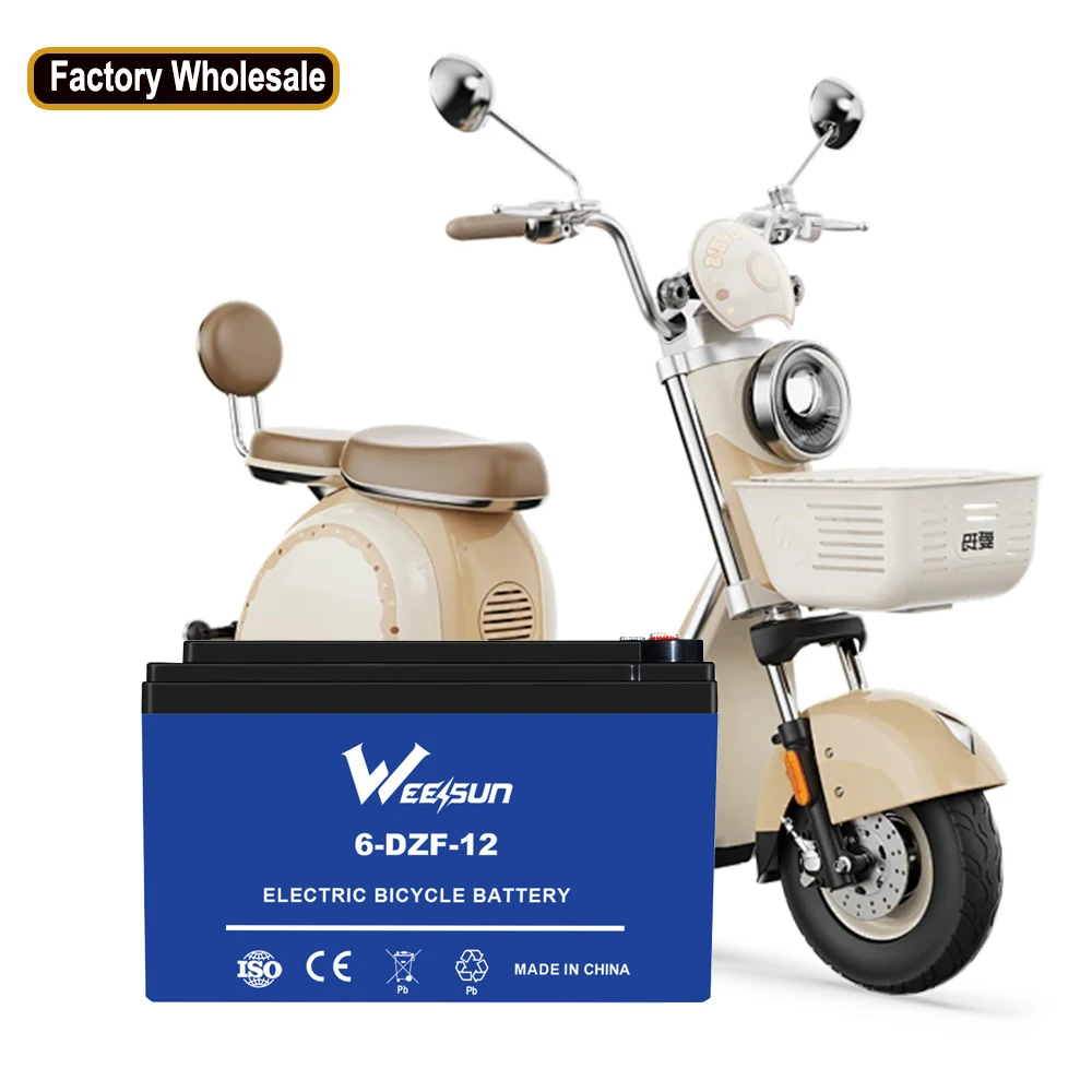 China factory sell 12V 36V 48V 60V 72V 12ah 13ah 14ah e-bike electric bike scooter vehicle lead acid battery 6-DZM-12 battery