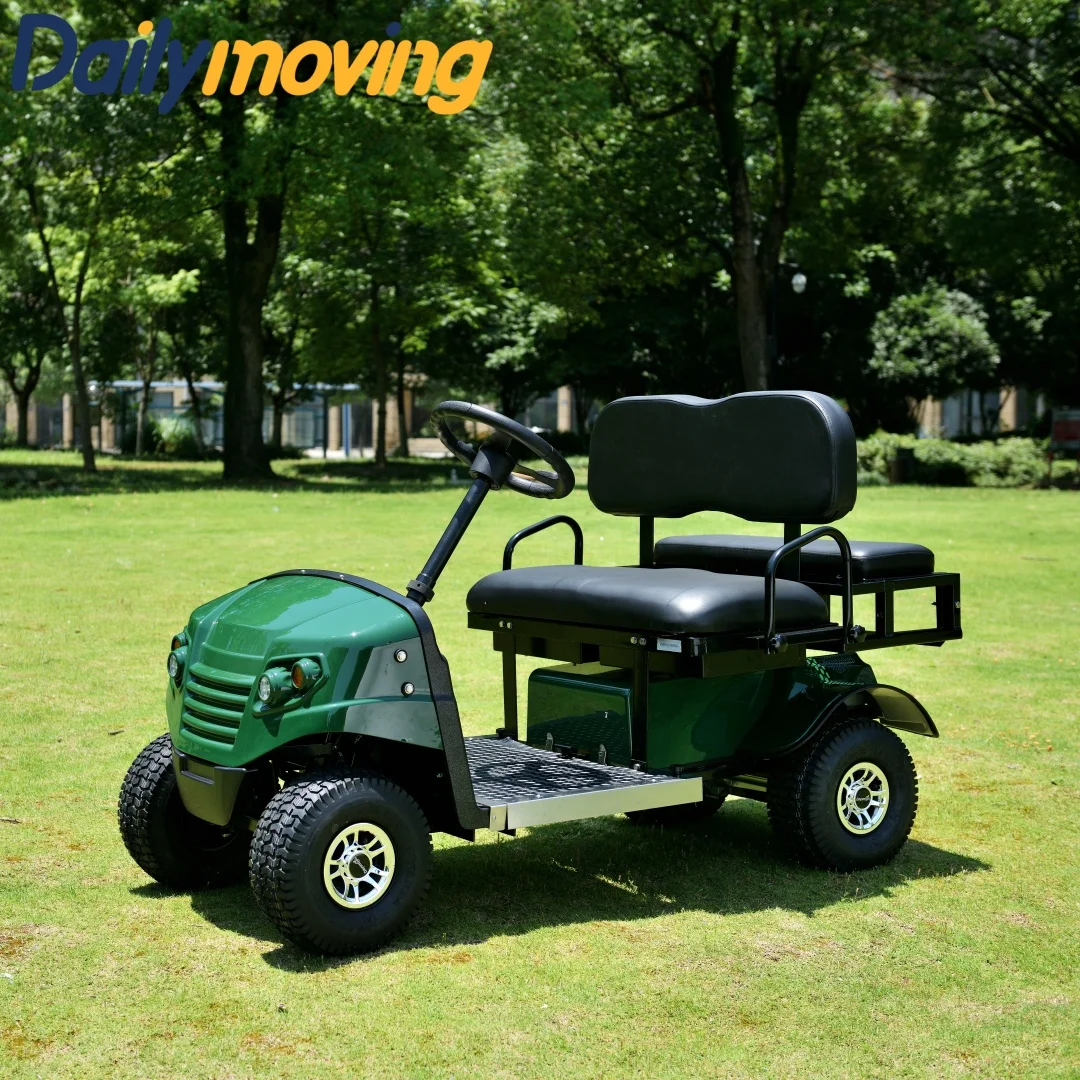 2024 newest hot sale cheap 2 to 4 seats golf carts electric mini golf carts