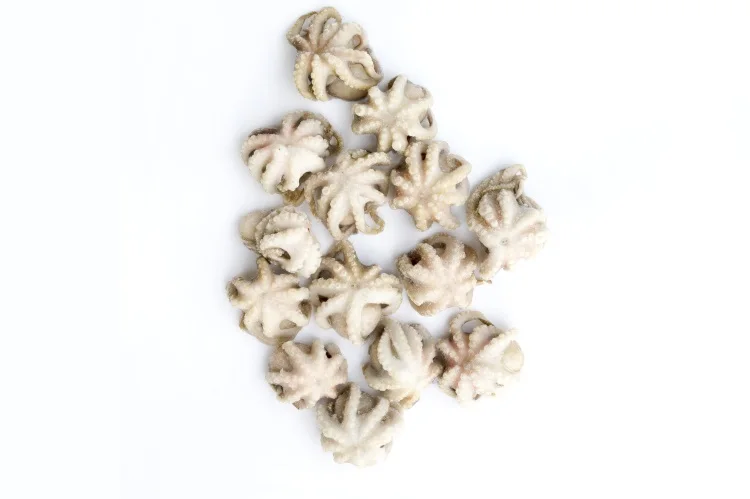 Factory wholesale little octopus nutritious vitamins frozen octopus