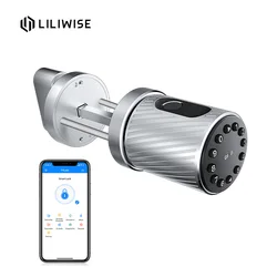 Fingerprint Smart Biometric Lock Quick Access Keyless Metal Security Anti-Theft Door Lock