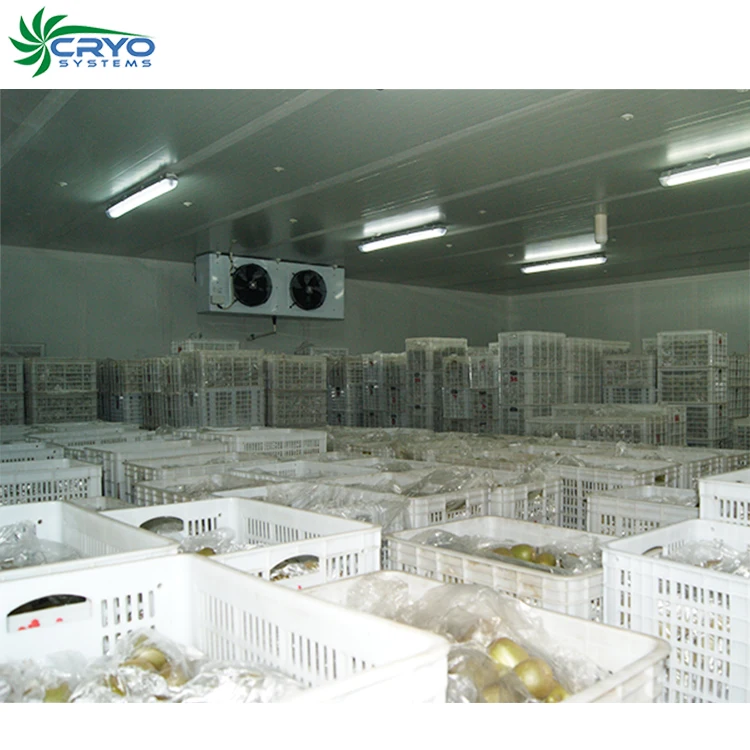 Walk in cold room производители walk in cold room цена замороженных куриных ножек четверть замороженных куриц halal