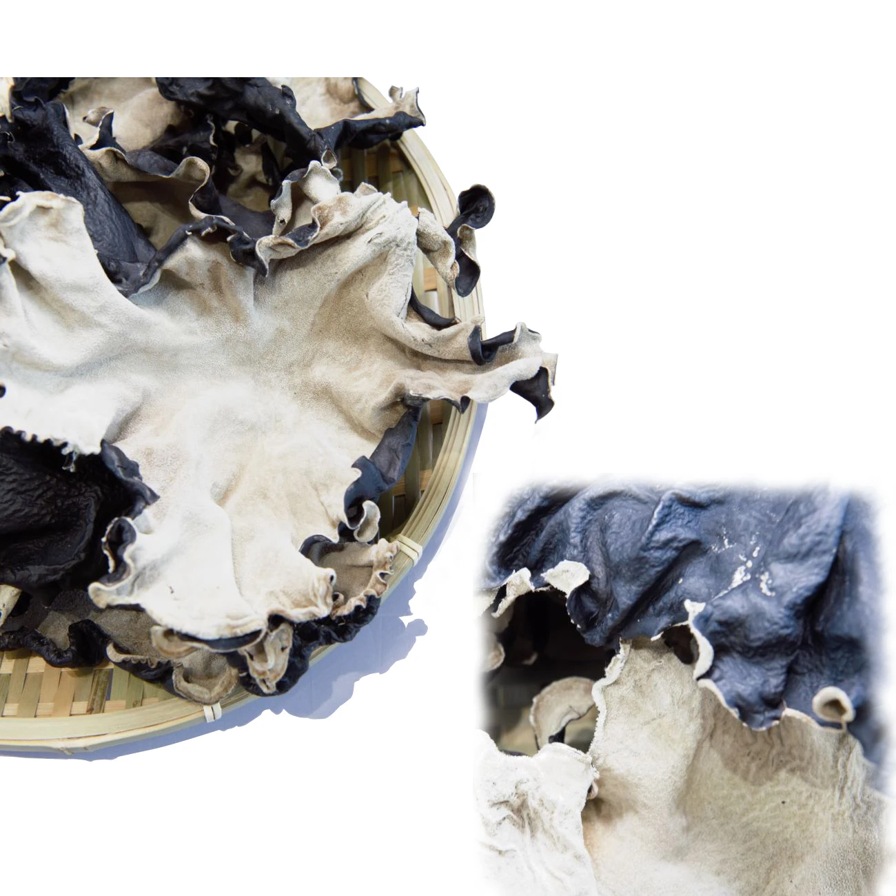 
Dried White Back Agaric/Black Fungus for Buyers 