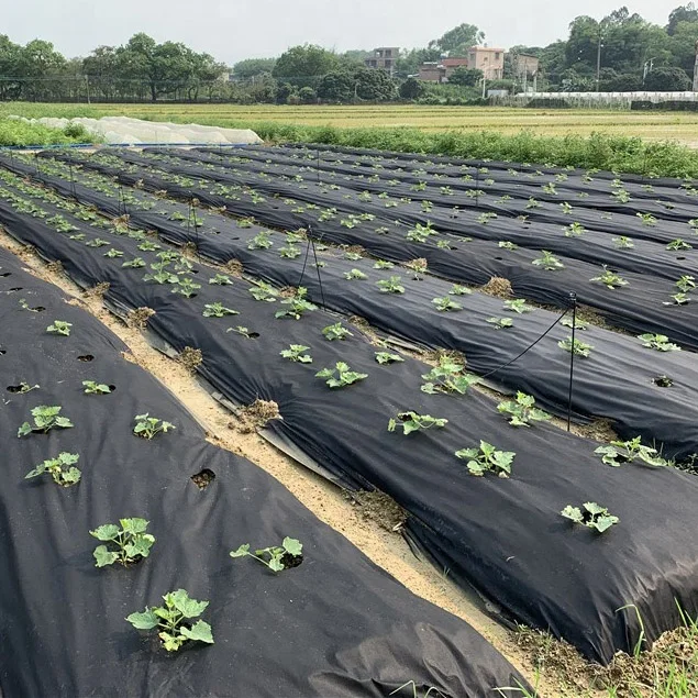 Agriculture nonwoven fabric PP Spunbond Nonwoven Fabric for crop frost cover protection