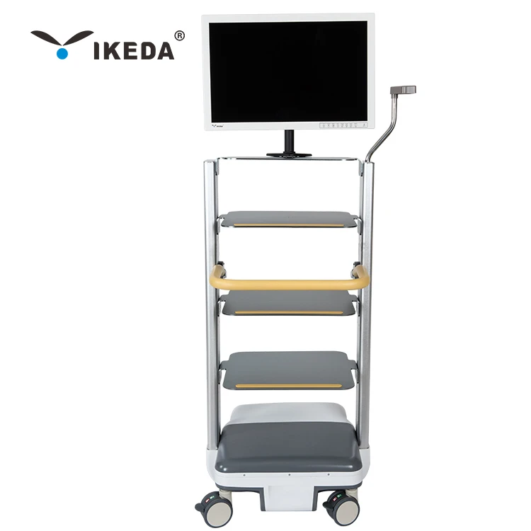 Height adjustable trolley for camera endoscope