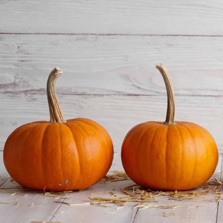 Kids Snack Pumpkin Vegetable Snack Soft Texture for All Age Healthy and Delicious Nutrition made in Thailand