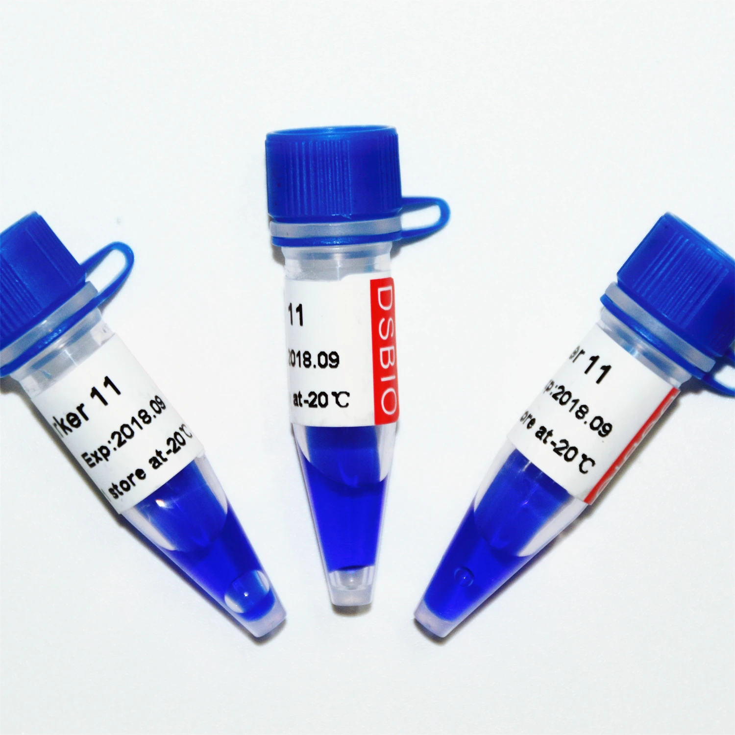 Marker 11, DNA ladder, OEM M1131/M1132