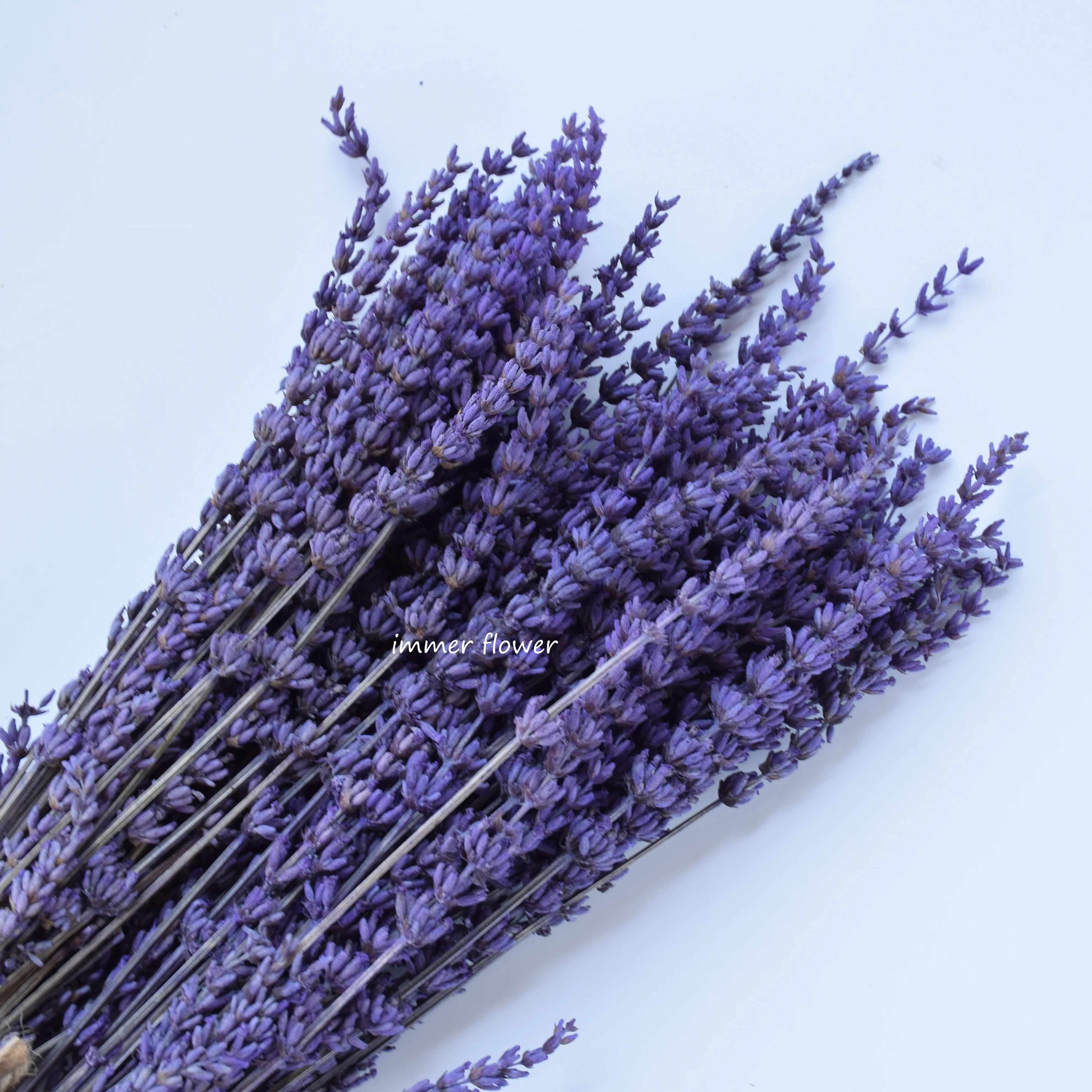 Wholesale Decorative Stabilized Lavender Preserved Lavender Flower