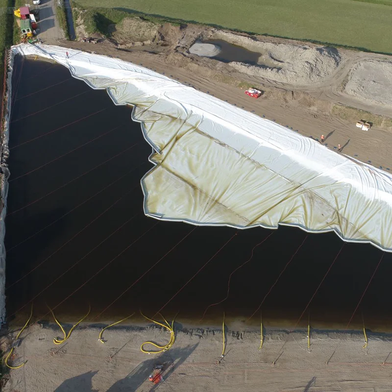 Factory Wholesale Hdpe Liner Waterproof Geomembrane Modern Membrane For Pool