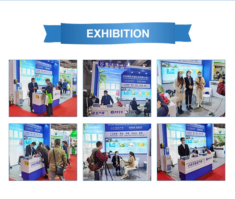 Bulk Private Labels Gold Standard 100% pure fish collagen peptide powder Original flavor no add Protein  Powder