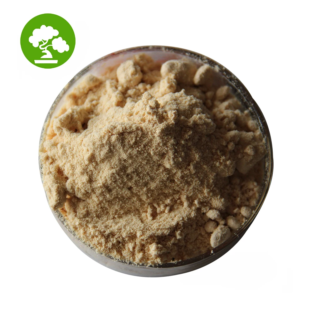 Bulk Stock Best Price Buy Bacillus Subtilis Powder