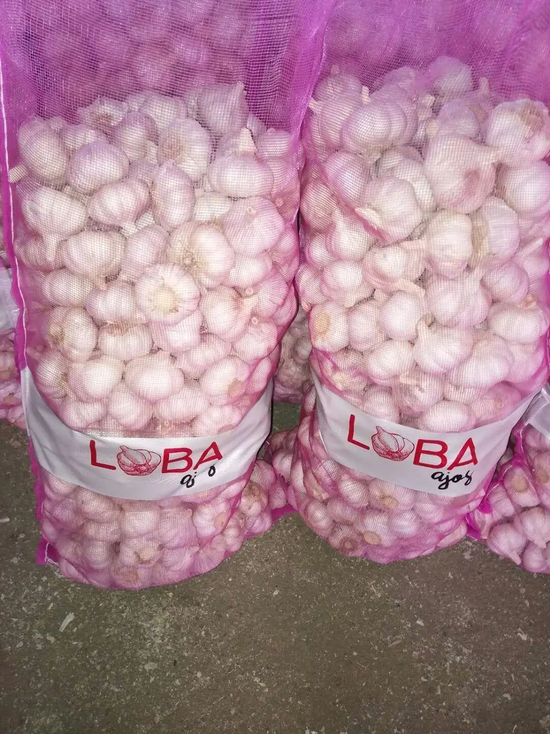 
2021 New Crop Normal White Garlic ship by 1x40fcl reefer container Garlic sizes 4.5cm, 5.0cm, 5.5cm, 6.0cm 