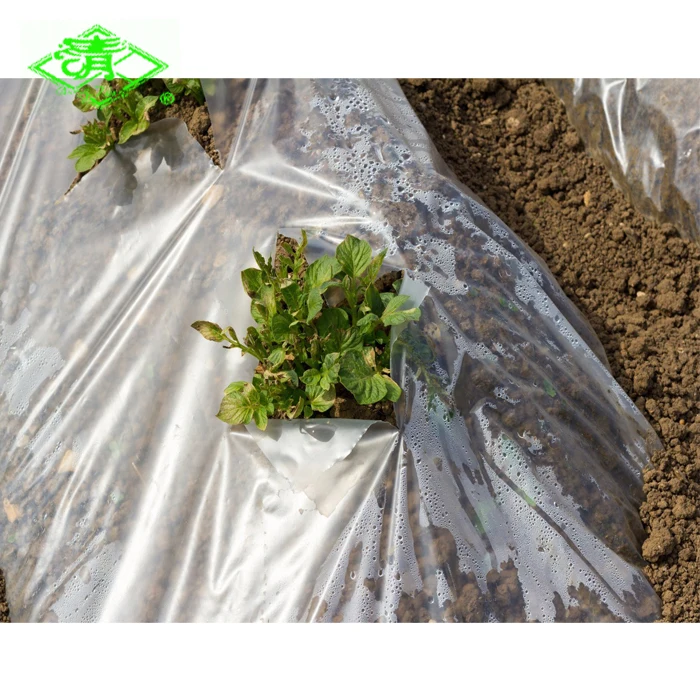 Agricultural UV protection greenhouse plastic film