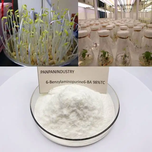 
pgr 6 benzylaminopurine 6 ba 98%TC 99%tc with good effect and quality 