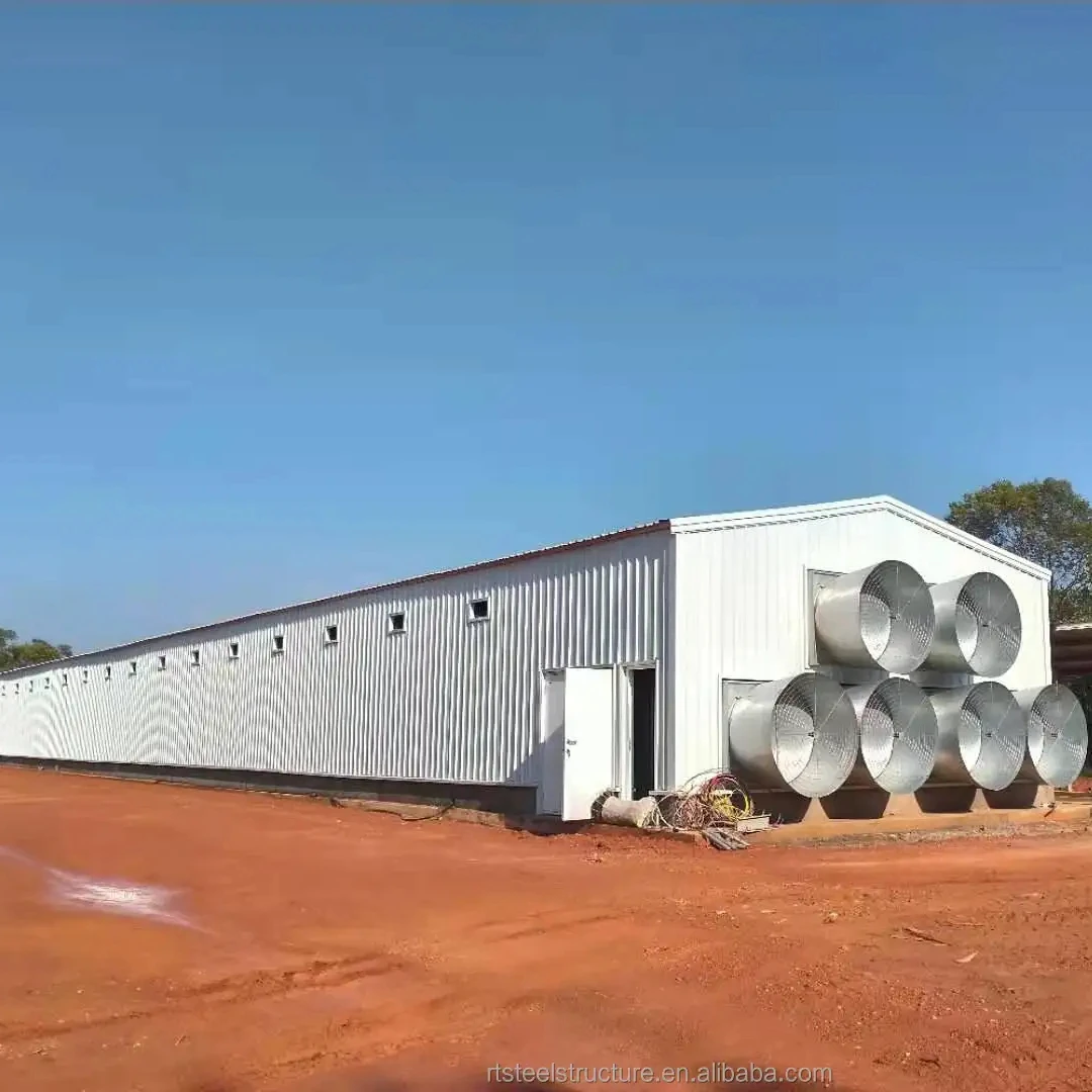 Qingdao RT Estructura de Acero Prefabricado Estructura de Acero Ligero Gallinero Casa de Aves de Corral