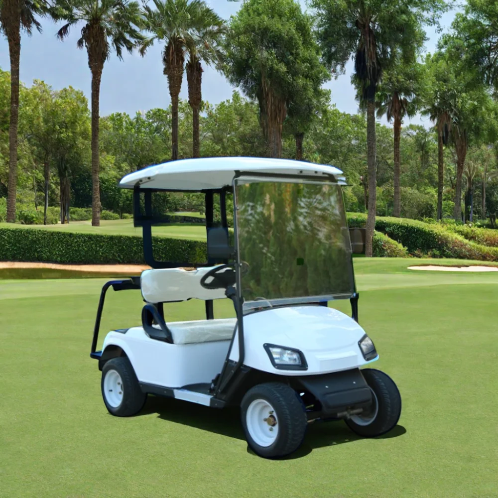 TongCai Cheap and cost-effective new model 4 seaters 10 inch wheels lithium  electrical motor golf carts  for sale