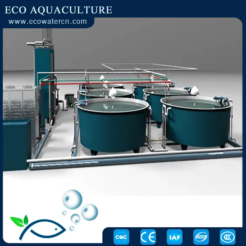 Fish Farming Equipment / Aquaculture Ras System for Tilapia Circulating Water Filtration Pond