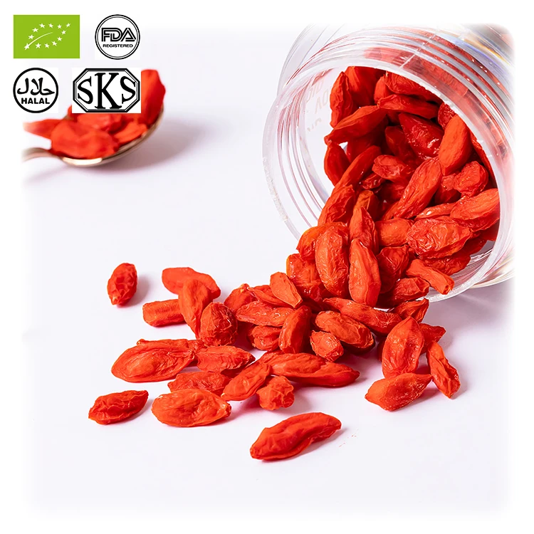 Красный Мощный QIZITO Ningxia Wolfberry Сертифицированный Zhongning Годжи бесплатный образец сушеных