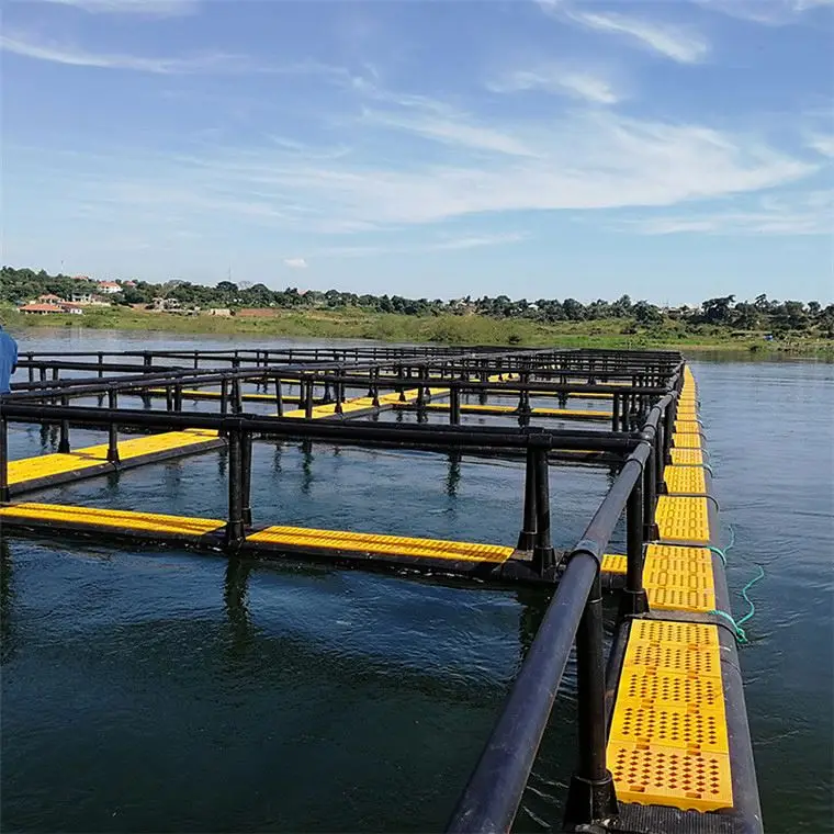 Fish Farming Cage Net for Rohu Fish