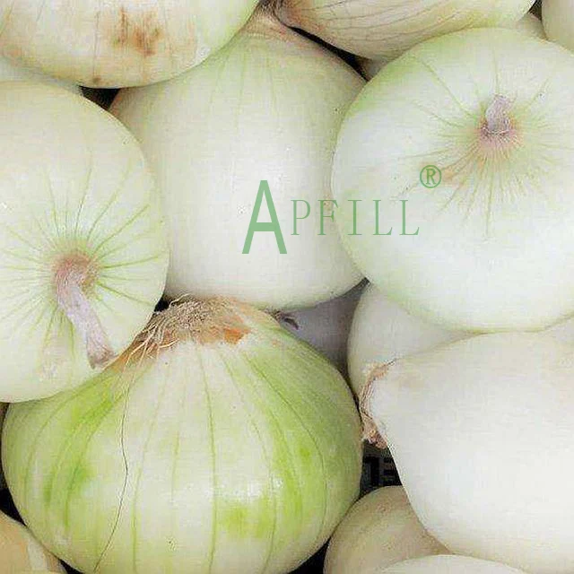 Fresh peeled onions package in vacuum bag keep fresh more than 6 months supply from Yunnan wanhui a manufacturer vegetables