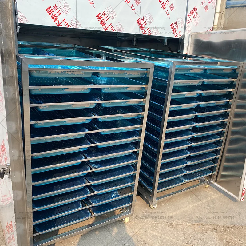 Grape Raisin Flower Tea Seeds Drying Machine