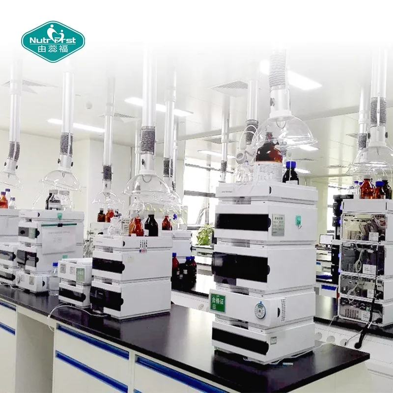 Nutrifirst на заказ OEM улучшение боли в суставах поддерживает здоровое пищеварение таблетки бромелайн