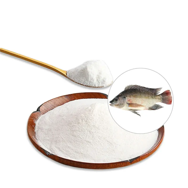 Best price OEM GMP High Quality Collagen Protein Peptide Fish Powder for Women Beauty