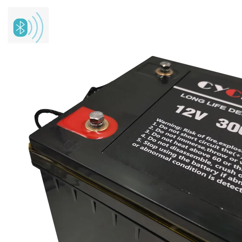 High quality with bms lifepo4 battery BT 12v 300ah hour for camping car motorhome