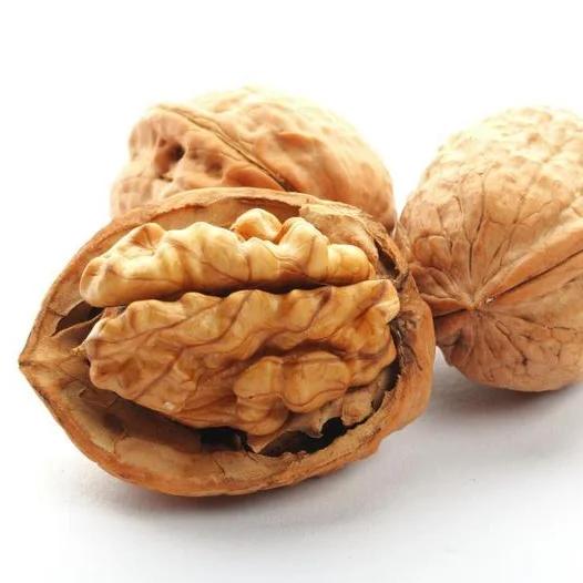 Wholesale Hot Selling Thin Shell Chinese Walnut and Walnut Kernel