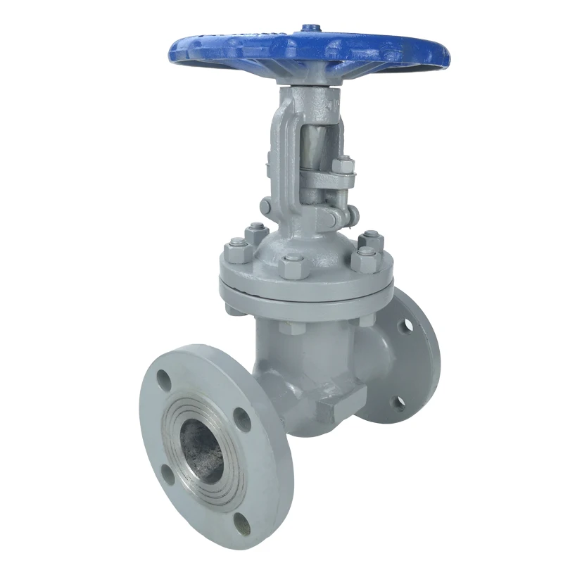 WCB Z41W-16P DN150 PN16 Flange End Gate Valve gate valve cast iron water gate valve