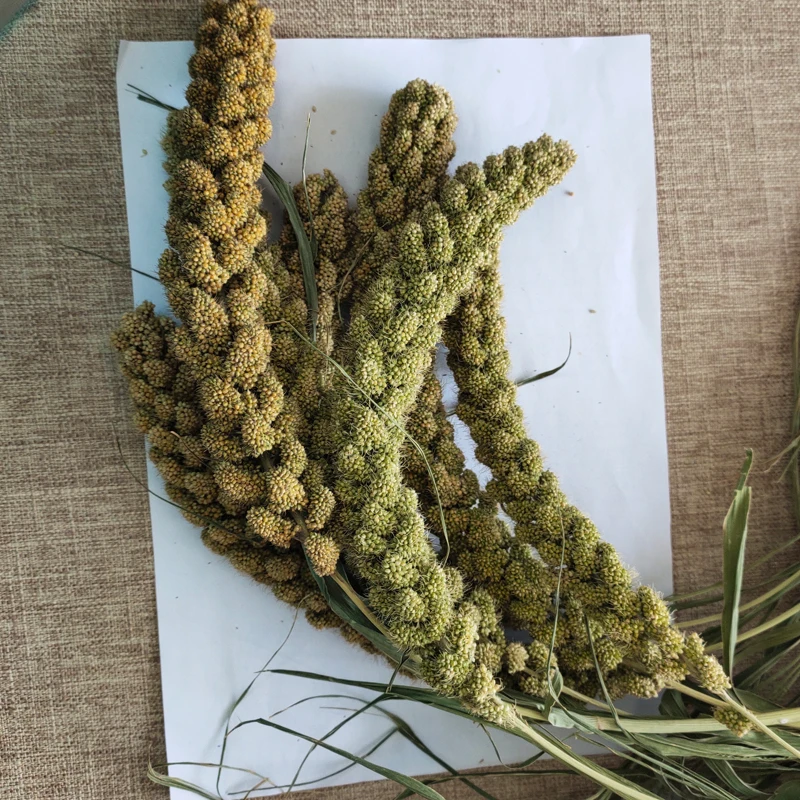 Спрей для хомяка желтый спрей пса