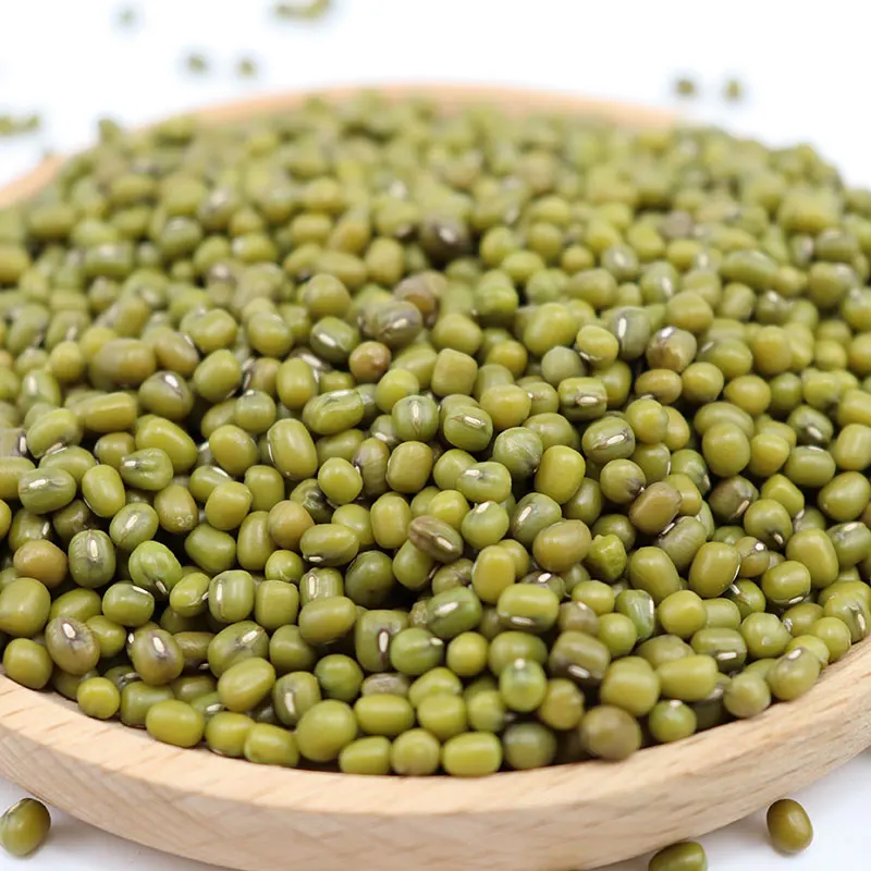 Hot sale green mung beans for sale