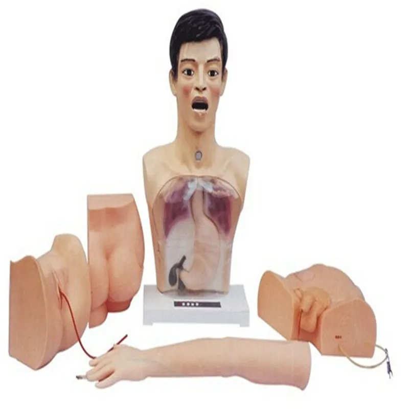 BIX-H4 medical school modelling lifelike  true proportions New Basic Nursing Model for Practice Operation