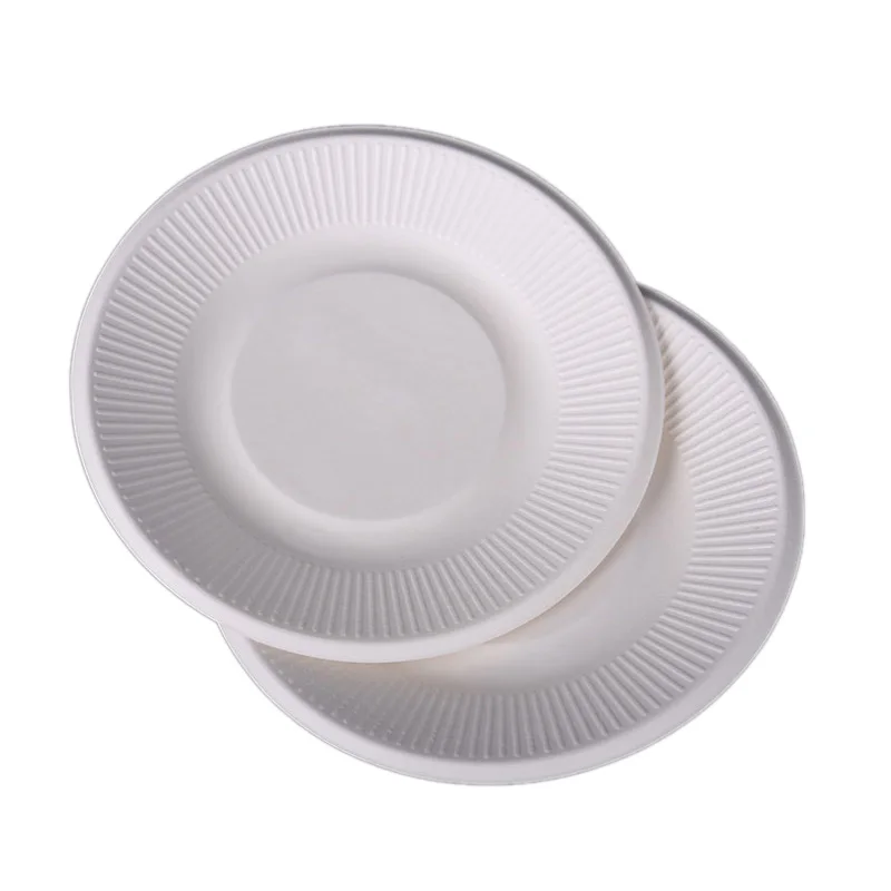13 cm Food Packaging Compostable Take Away Sugar Cane Bagasse Pulp to go Round  Plate