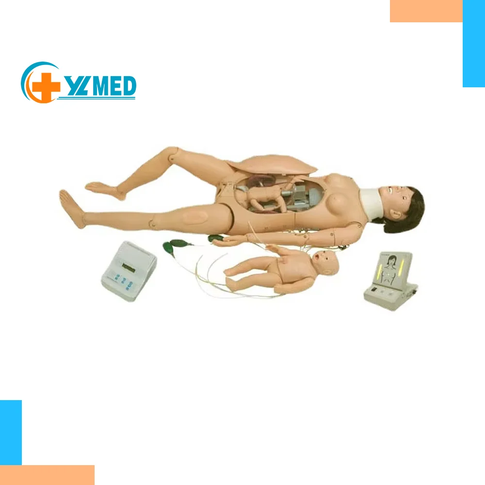maternal infant first aid Emergency Nursing Pregnant Women Intrapartum delivery process gynecological training simulator model