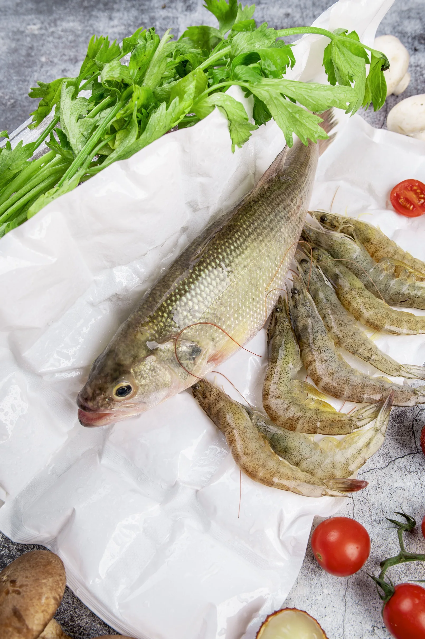 China Professional Manufacture PET+SAP+NON-WOVEN Poultry Dry Ice Bag