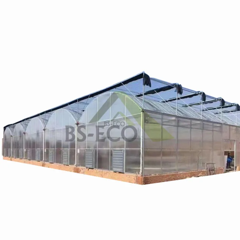 Hot sale agricultural cultivation equipment Steel Structure PO film greenhouse for Breeding/Exhibition/Research/Aquaculture