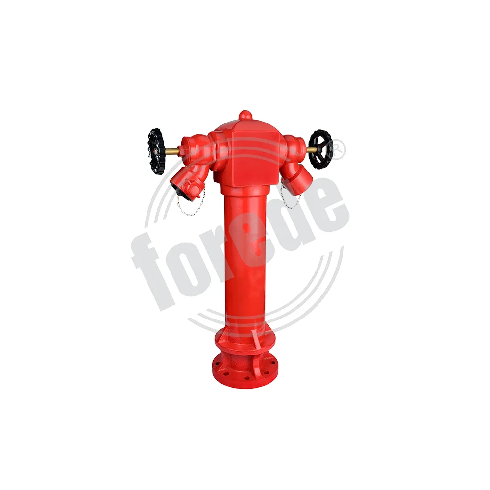 2-Way Types of Fire Hydrant