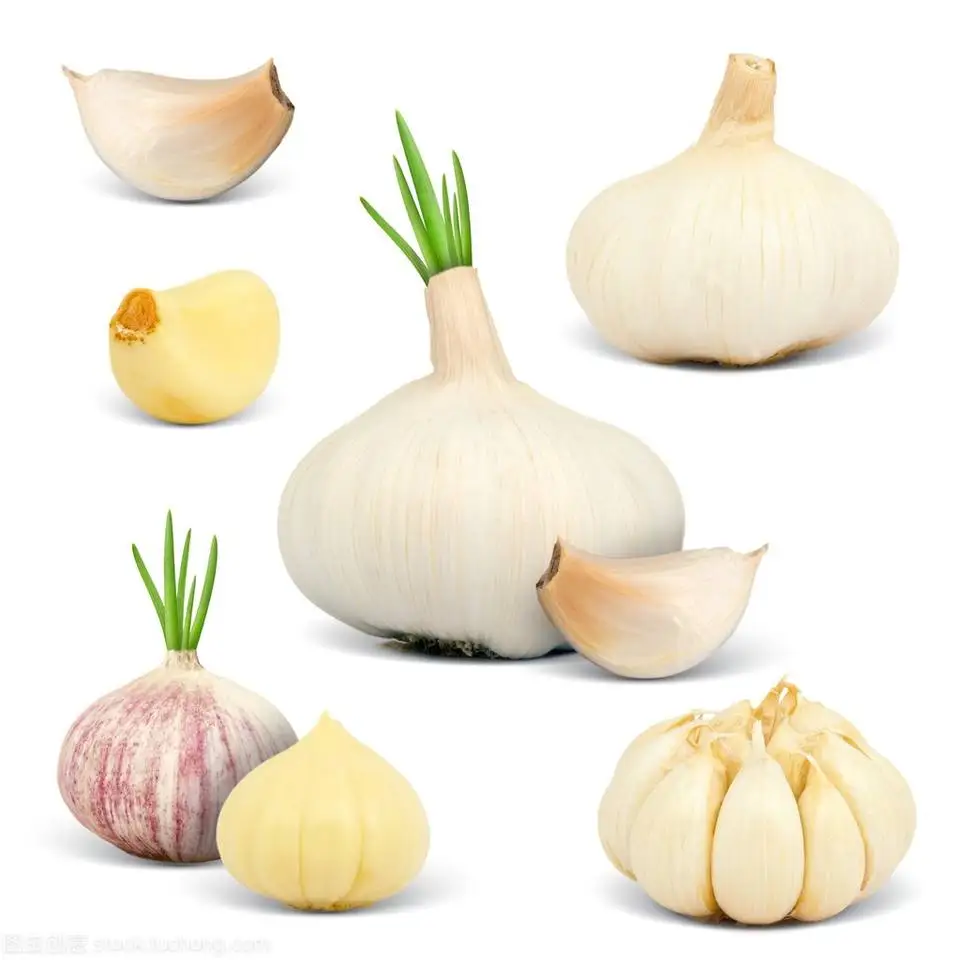 High Quality Dried Garlic Ready To Ship From Vietnam Dried Garlic For Cooking Best Price For Wholesale