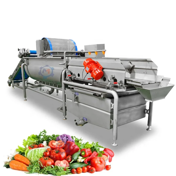 Fresh Vegetable Bean Sprout Bubble Washing Machine