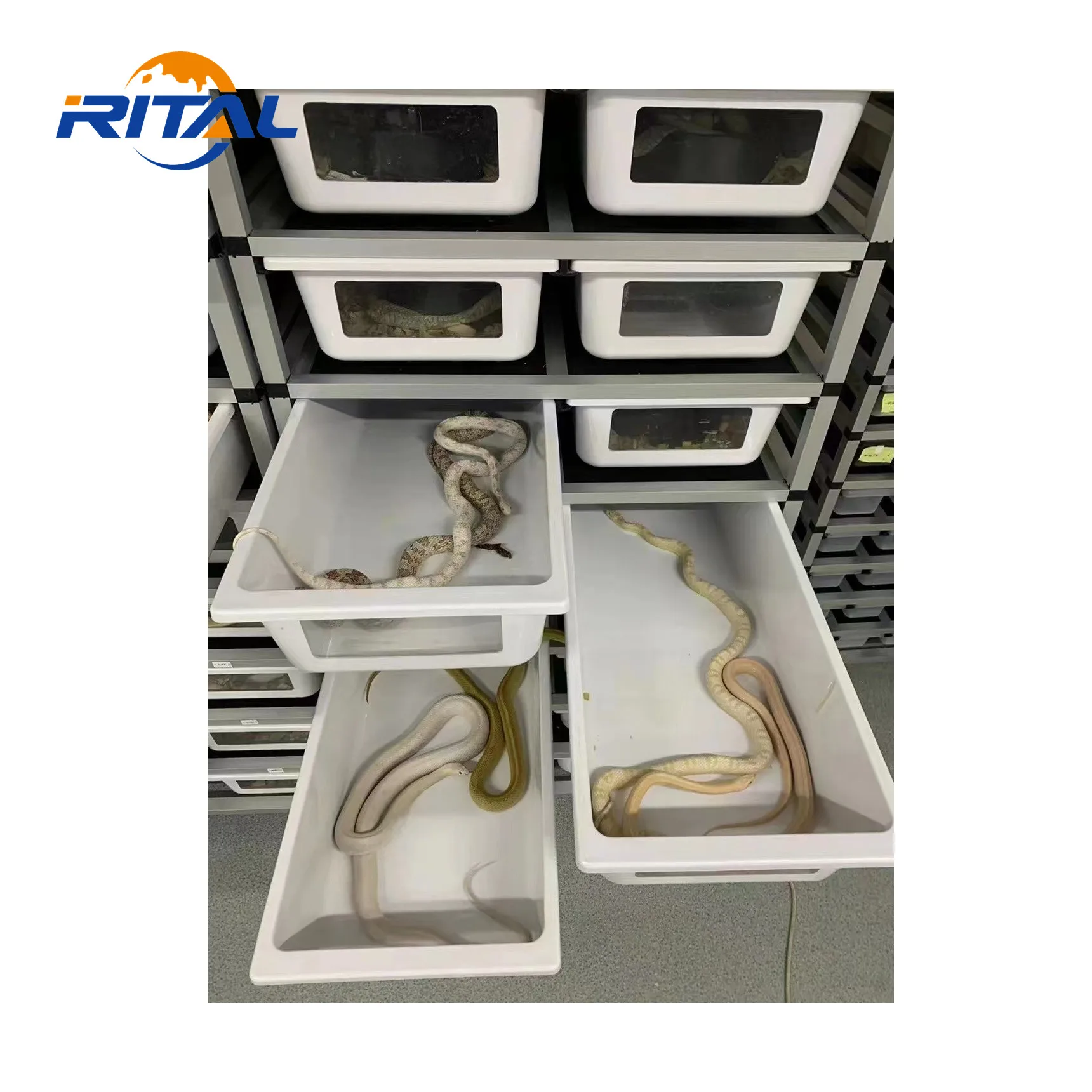 PVC Reptile Enclosure Snake Rack Supplies Terrarium Hide cages Display Case Tank Feeding Tubs Box Serpent System