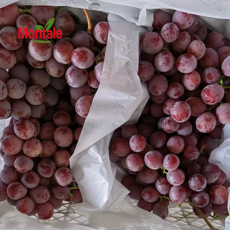 Chinese Factory Price Top Quality Fresh Red Grapes Supply