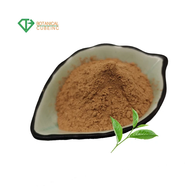 High Purity Natural Green Tea Leaves Green Tea Extract Powder 98% Polyphenol